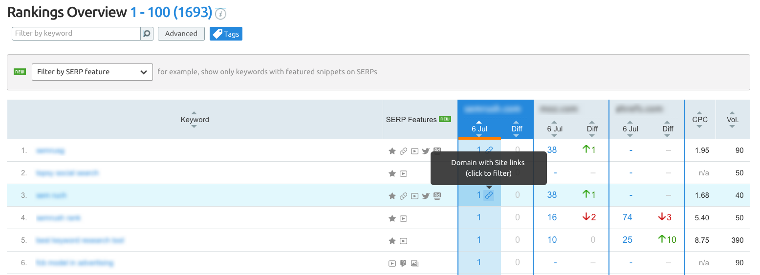 Position Tracking Rankings overview domain position